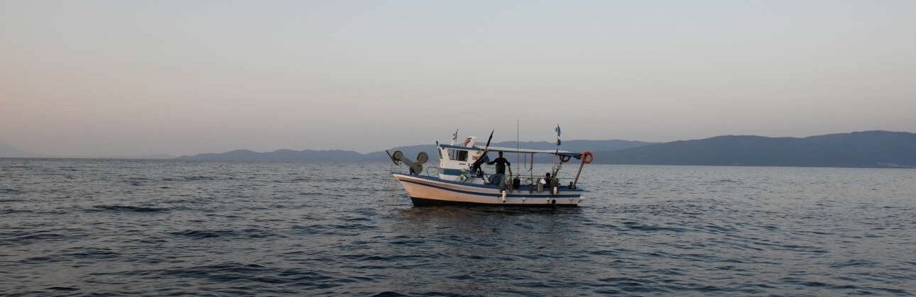 Κρήτη: Ψαράδες αντί για ψάρια έφεραν στην στεριά έναν… γυπαετό (φωτό)