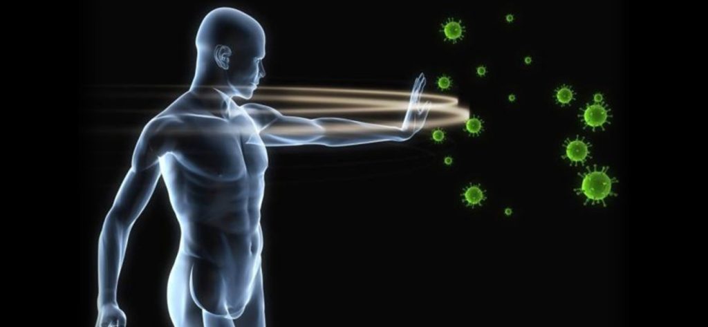 Η κατανάλωση αυτών των τροφών θα δυναμώσει ακόμα περισσότερο το ανοσοποιητικό