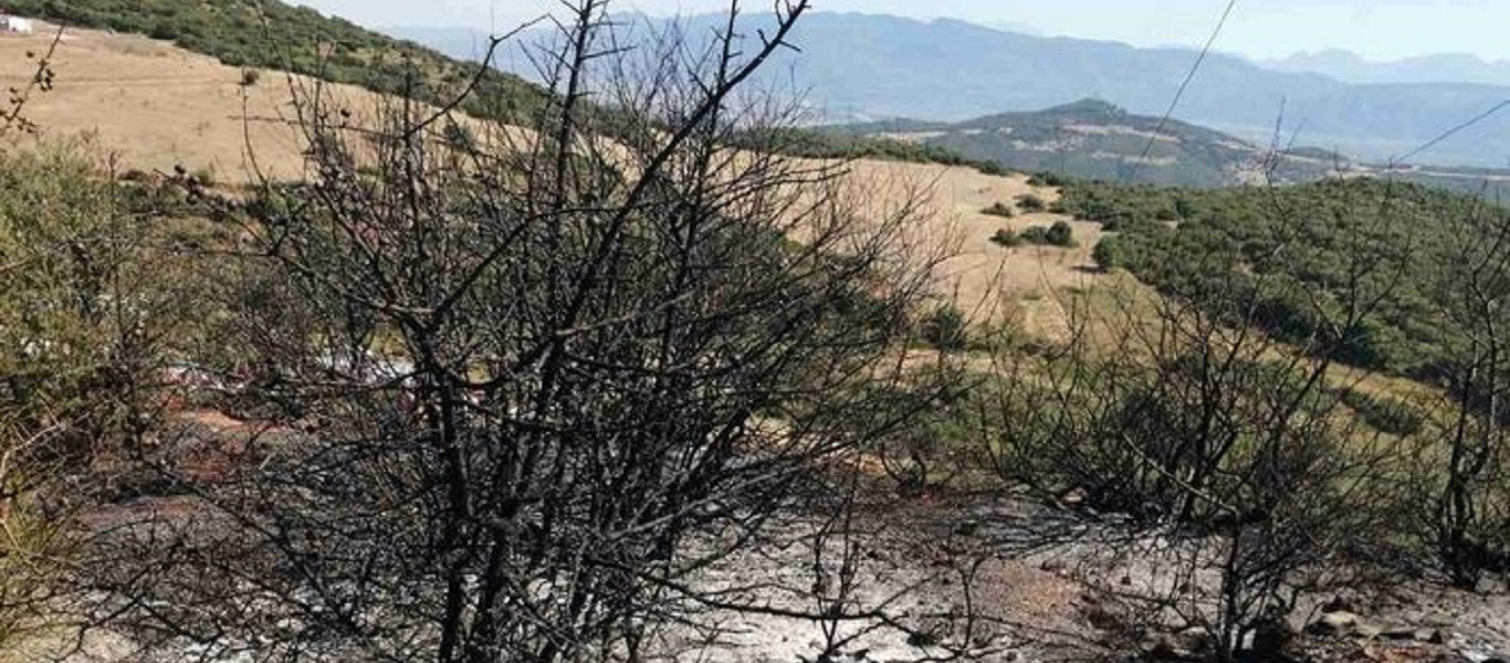Λαμία: Φωτιά δίπλα σε καταυλισμό στην Καμηλόβρυση (φώτο)