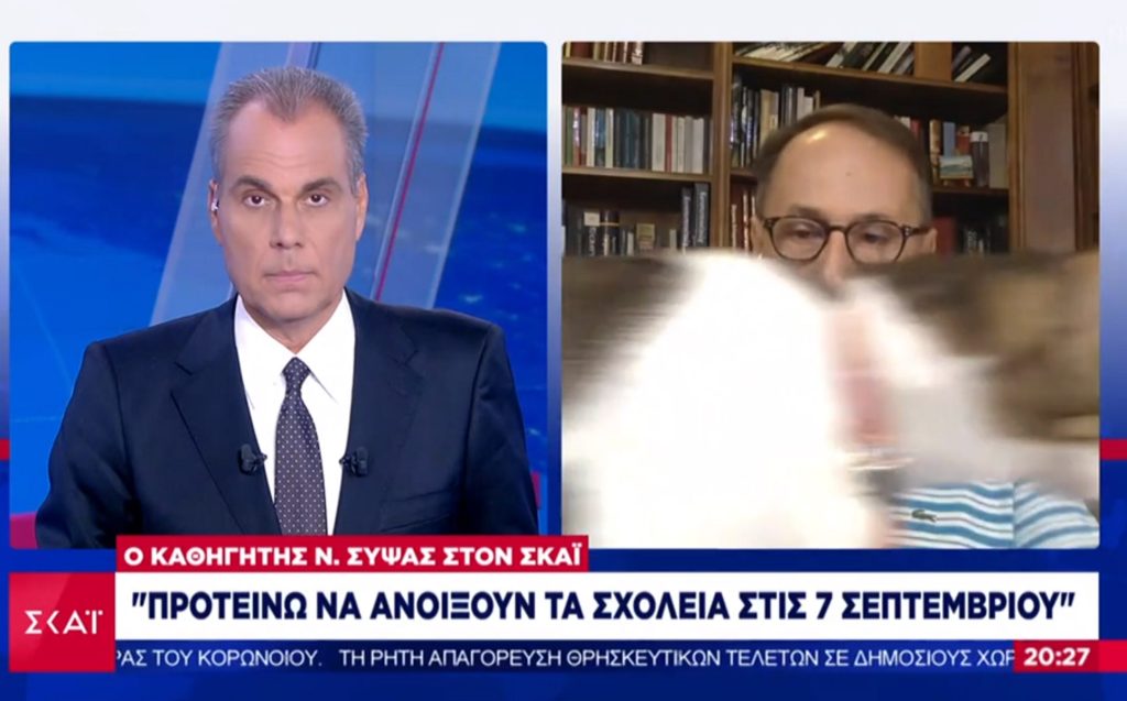 Ήθελε… δημοσιότητα η γάτα του καθηγητή Σύψα! (βίντεο)