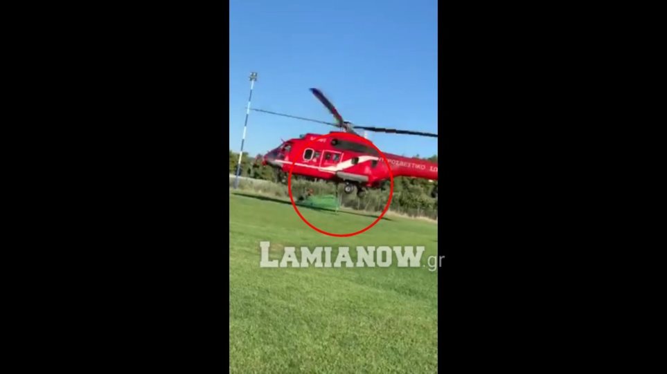 Μεγάλη χασισοφυτεία εντοπίστηκε στην Φθιώτιδα – Επιστρατεύτηκε μέχρι και ελικόπτερο της πυροσβεστικής (βίντεο)