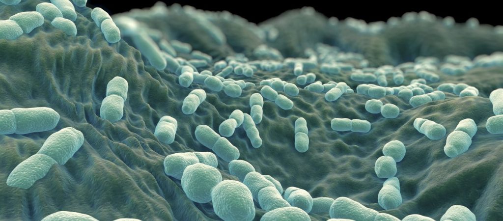 Λιστερίωση: Πως θα καταλάβετε ότι πάσχετε – Ποιες τροφές είναι πιο επικίνδυνες