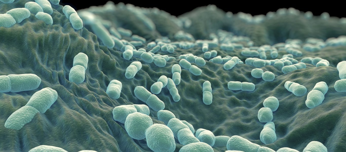 Λιστερίωση: Πως θα καταλάβετε ότι πάσχετε – Ποιες τροφές είναι πιο επικίνδυνες