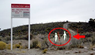 Area 51: Η μυστηριώδης βάση της USAF στην Νεβάδα και οι υποτιθέμενες «θεάσεις εξωγήινων» (φωτό, βίντεο)