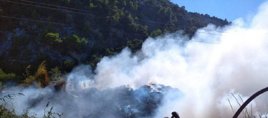 Φθιώτιδα: Φωτιά στα Καμένα Βούρλα (φώτο)