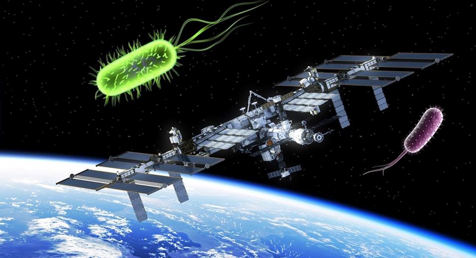 Τα βακτήρια που μπορούν να επιβιώσουν στο διάστημα και να αντέξουν το ταξίδι στον Άρη