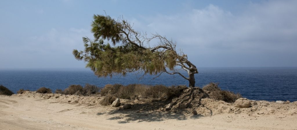 Καιρός: Έφτασαν τα 148 χλμ./ώρα οι άνεμοι το μεσημέρι της Τετάρτης (φώτο)