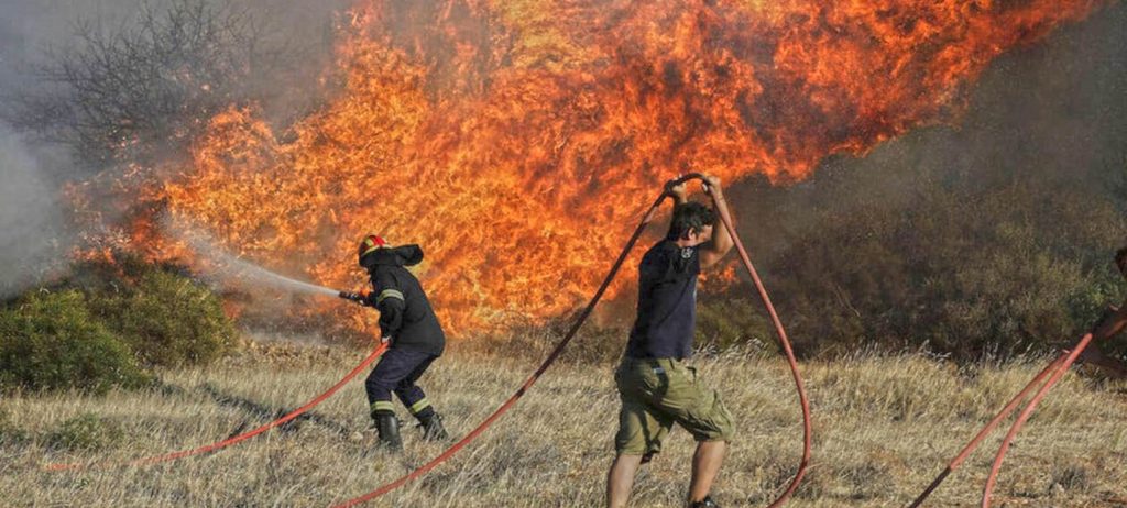 Αμαλιάδα: Φωτιά σε δασική έκταση – Επιχειρούν 38 πυροσβέστες