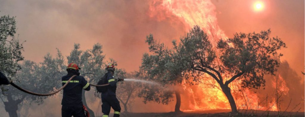Δήμαρχος Μαραθώνα – Νέας Μάκρης για την πυρκαγιά στην περιοχή: «Δύσκολη η κατάσταση λόγω ανέμων»