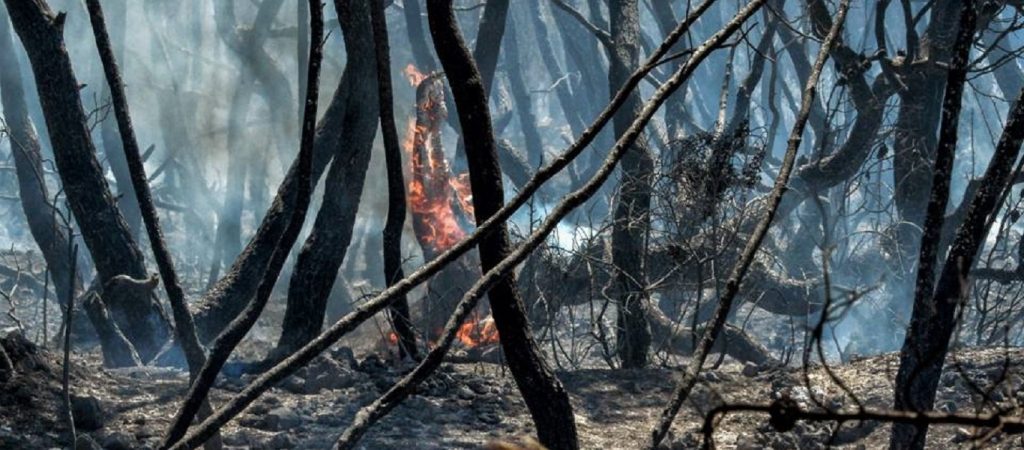 Σε ποιες περιοχές ο κίνδυνος πυρκαγιάς είναι αύριο υψηλός – Δείτε τον χάρτη (φώτο)