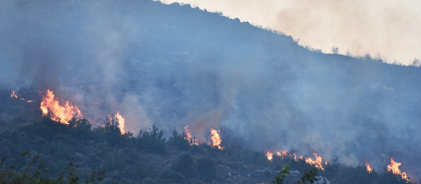Συρία: Συνεχίζονται οι φωτιές στα δάση για 8η μέρα – «Μάχη» για πυροσβέστες και στρατό