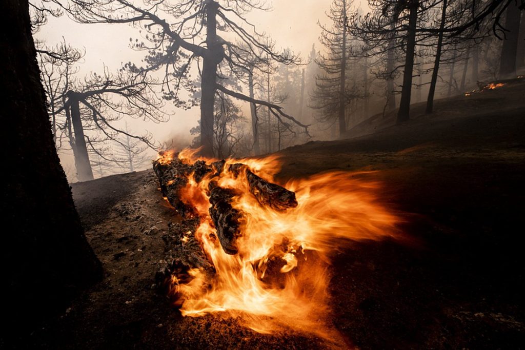Όρεγκον: Δεκάδες αγνοούμενοι και 24 νεκροί από τις φονικές πυρκαγιές