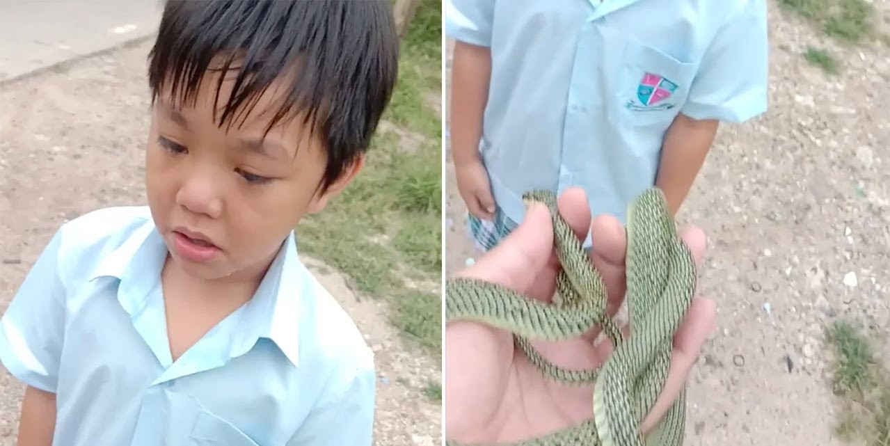 Ταϊλάνδη: Αγοράκι κλαίει με λυγμούς επειδή πρέπει να αποχωριστεί ένα φίδι που βρήκε στην αυλή (βίντεο)
