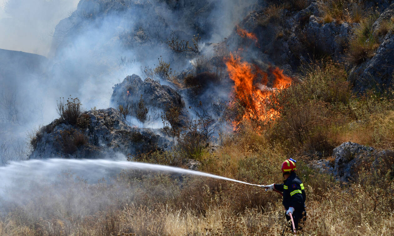 Φωτιά ξέσπασε σε αποθήκη στον Ωρωπό – Και ελικόπτερο στην μάχη για την κατάσβεση