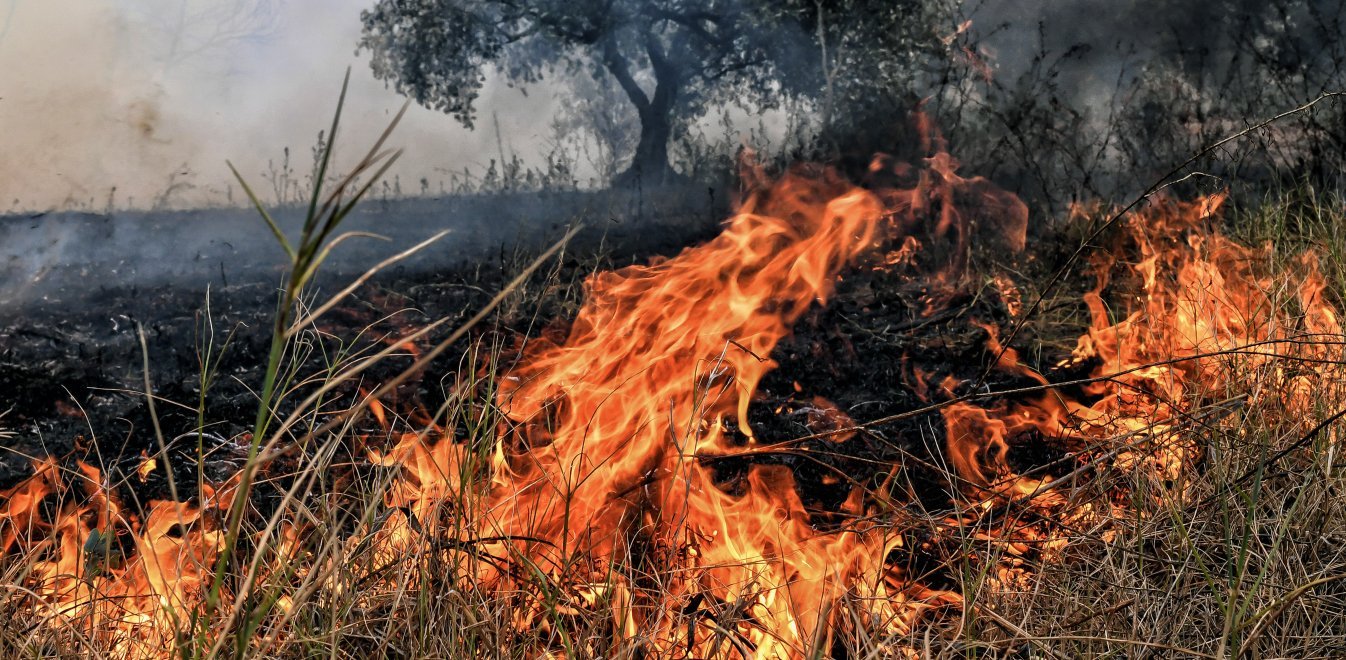 Φωτιά σε χορτολιβαδική έκταση στη Φθιώτιδα – Συνδράμουν εναέρια μέσα