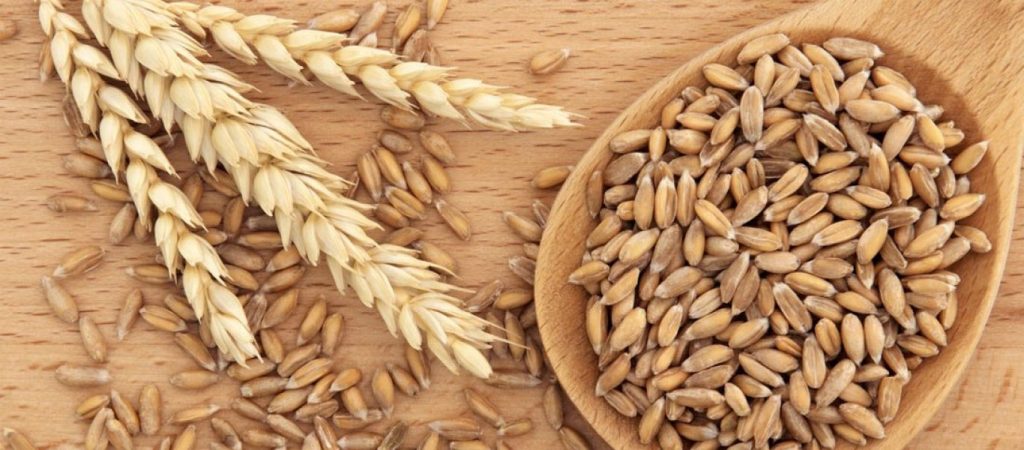 Αυτό το γνωρίζατε; – Γιατί οι αρχαίοι Έλληνες δεν έτρωγαν ποτέ σιτάρι;