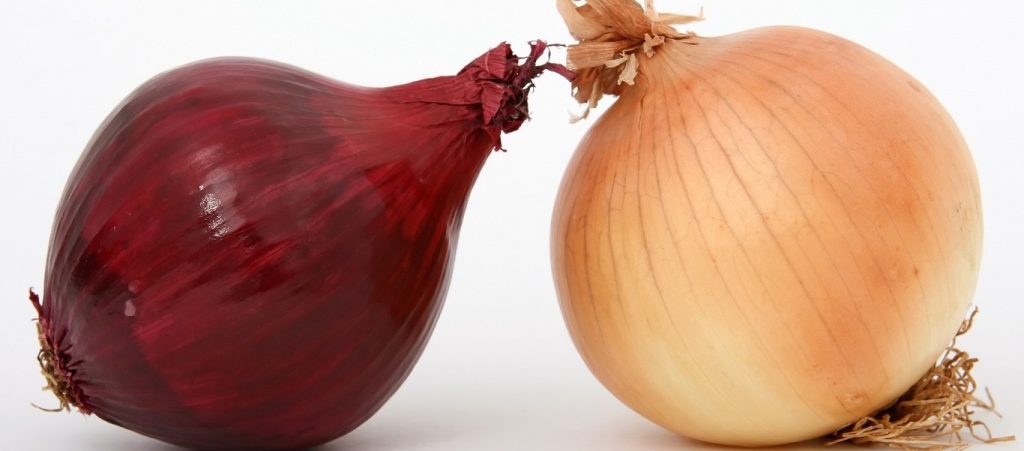 Ποιες είναι οι διαφορές ανάμεσα στα κόκκινα και τα λευκά κρεμμύδια