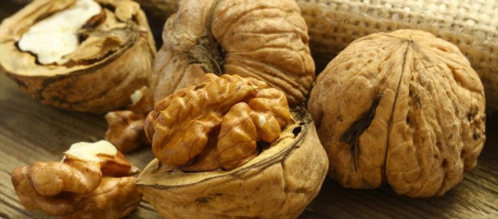 Αν δεν τα έτρωγες… ξεκίνα: Αυτά είναι τα οφέλη της καθημερινής κατανάλωσης καρυδιών (βίντεο)