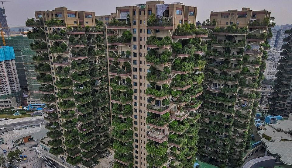 «Κρεμαστοί κήποι της Κίνας»: Διαφημίστηκαν ως «πράσινος παράδεισος» αλλά κατέληξαν σε… «κόλαση» (βίντεο)