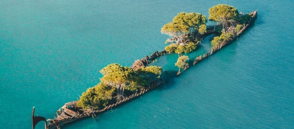 Το θαύμα της φύσης: Ναυάγιο μετατράπηκε σε μία καταπράσινη νησίδα (βίντεο)