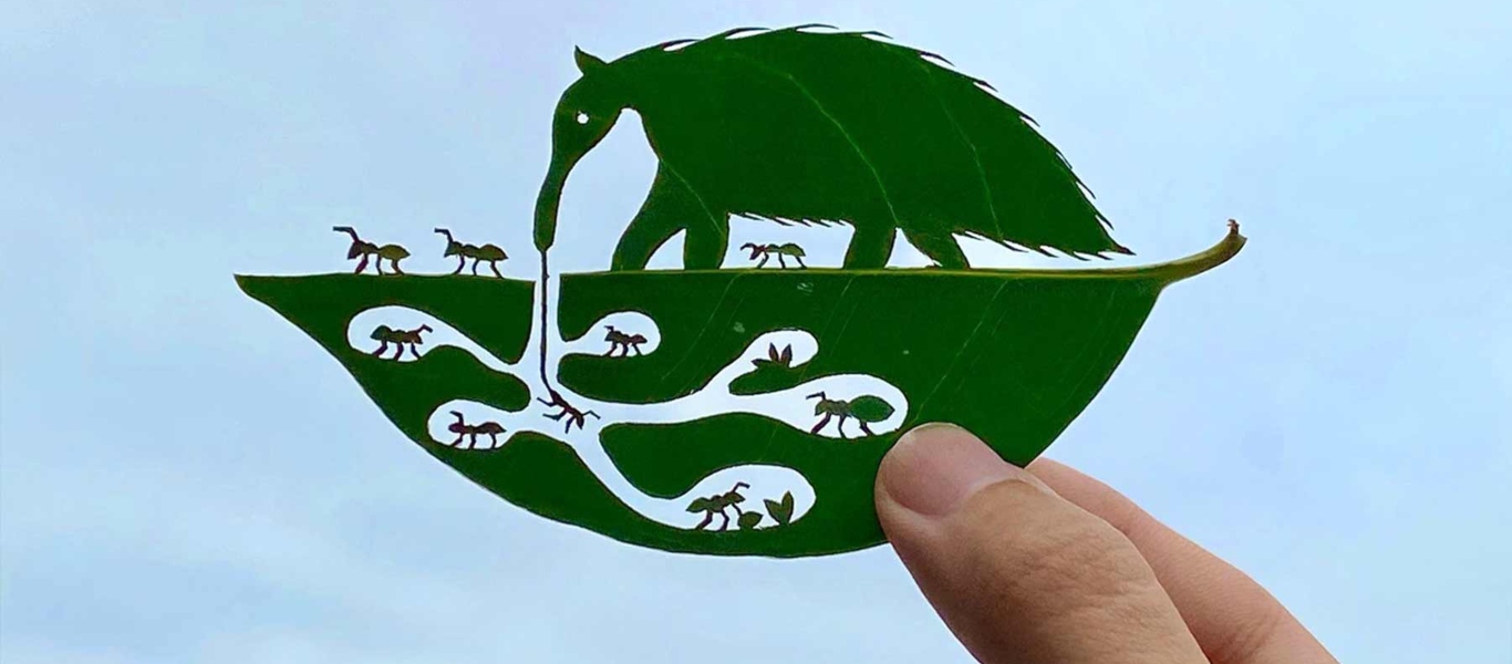 Ιαπωνία: Καλλιτέχνης δημιουργεί έργα τέχνης επάνω σε φύλλα δέντρου (φώτο)