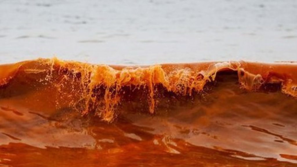 Κόκκινη παλίρροια δημιουργεί «μαγικές» εικόνες – Πως δημιουργείται; (φωτο)