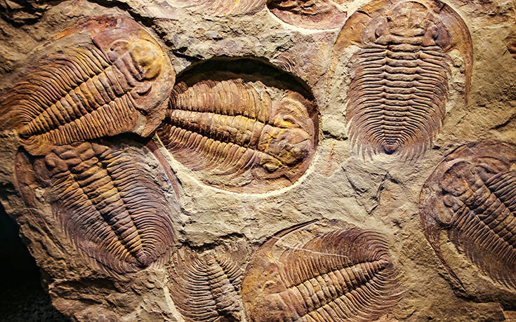 Το μυστηριώδες προϊστορικό πλάσμα που εξαφανίστηκε πριν από 250 εκατ. χρόνια και το μεγάλο μυστικό του