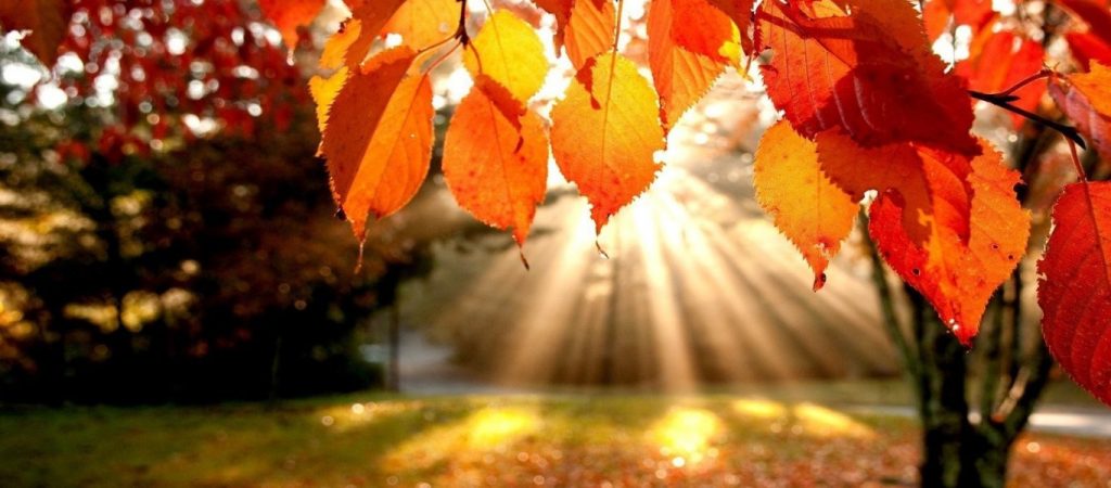 Αύριο η φθινοπωρινή ισημερία στο βόρειο ημισφαίριο – Ξεκινά και επίσημα το φθινόπωρο