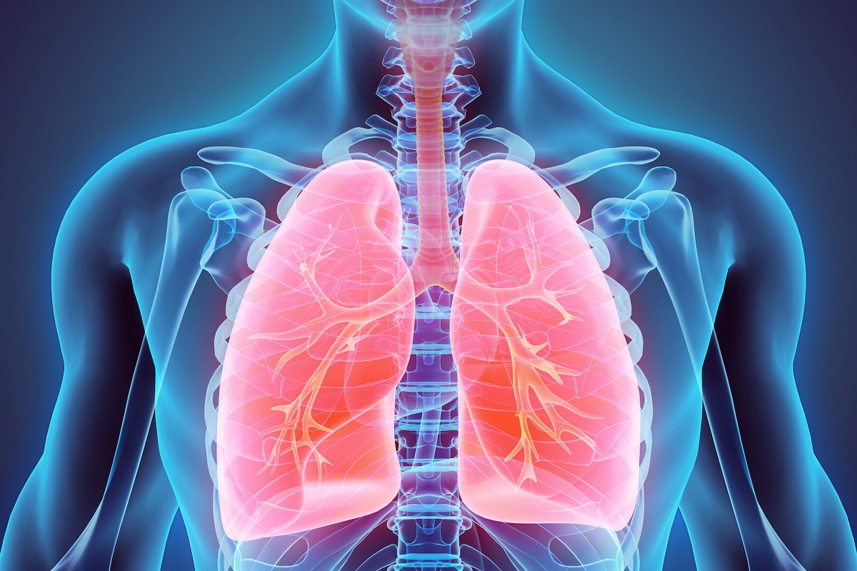 Πνεύμονες: Οι 4+1 τροφές που τους αποτοξινώνουν και τους θεραπεύουν