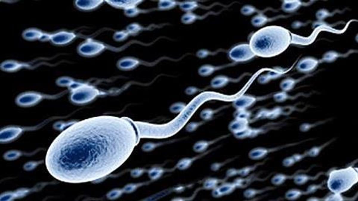 Αν την έχεις και εσύ καλύτερα να την κόψεις: Η βραδινή συνήθεια που αποδυναμώνει το σπέρμα