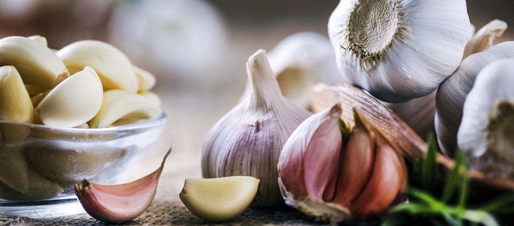 Το σκόρδο έχει και αντιμικροβιακές ιδιότητες