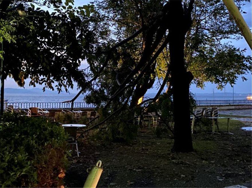 Η κακοκαιρία «σαρώνει» την Κέρκυρα: Πλημμυρισμένοι δρόμοι και ξεριζωμένα δέντρα στο κέντρο της πόλης (βίντεο-φωτο)