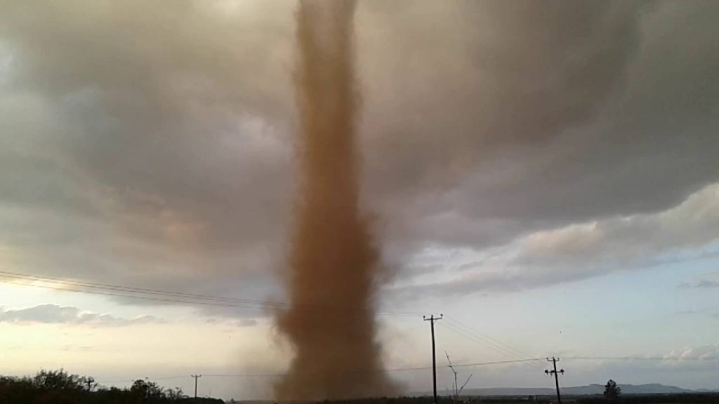 Ηλεία: Πεύκα έπεσαν σε σκηνές κάμπινγκ εξαιτίας του ανεμοστρόβιλου που σάρωσε την περιοχή (βίντεο)