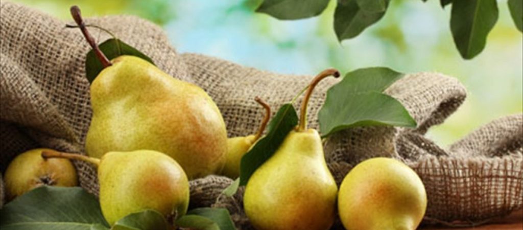 Aυτές είναι οι έξι ασθένειες από τις οποίες μας προστατεύει το αχλάδι