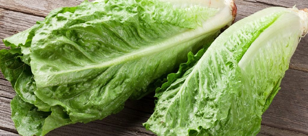 Πέντε λόγοι για να εντάξετε το μαρούλι στη διατροφή σας