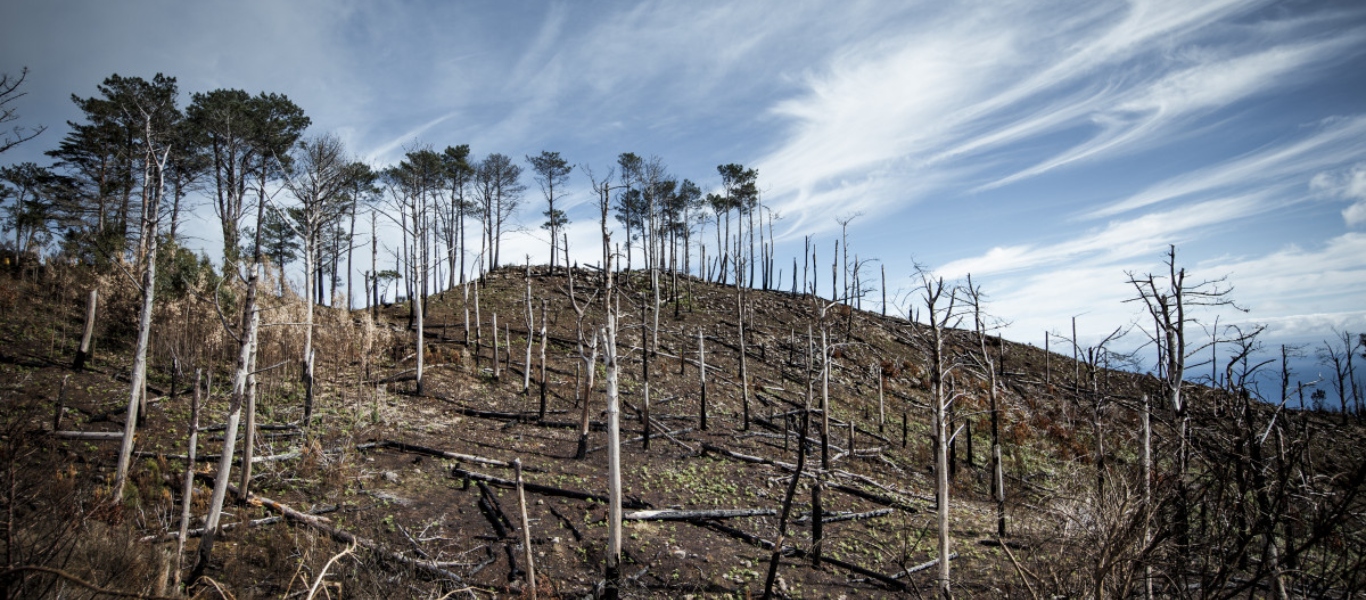 Πορτογαλία: Κοστίζει ακριβά η απουσία πλάνου για την πρόληψη των πυρκαγιών
