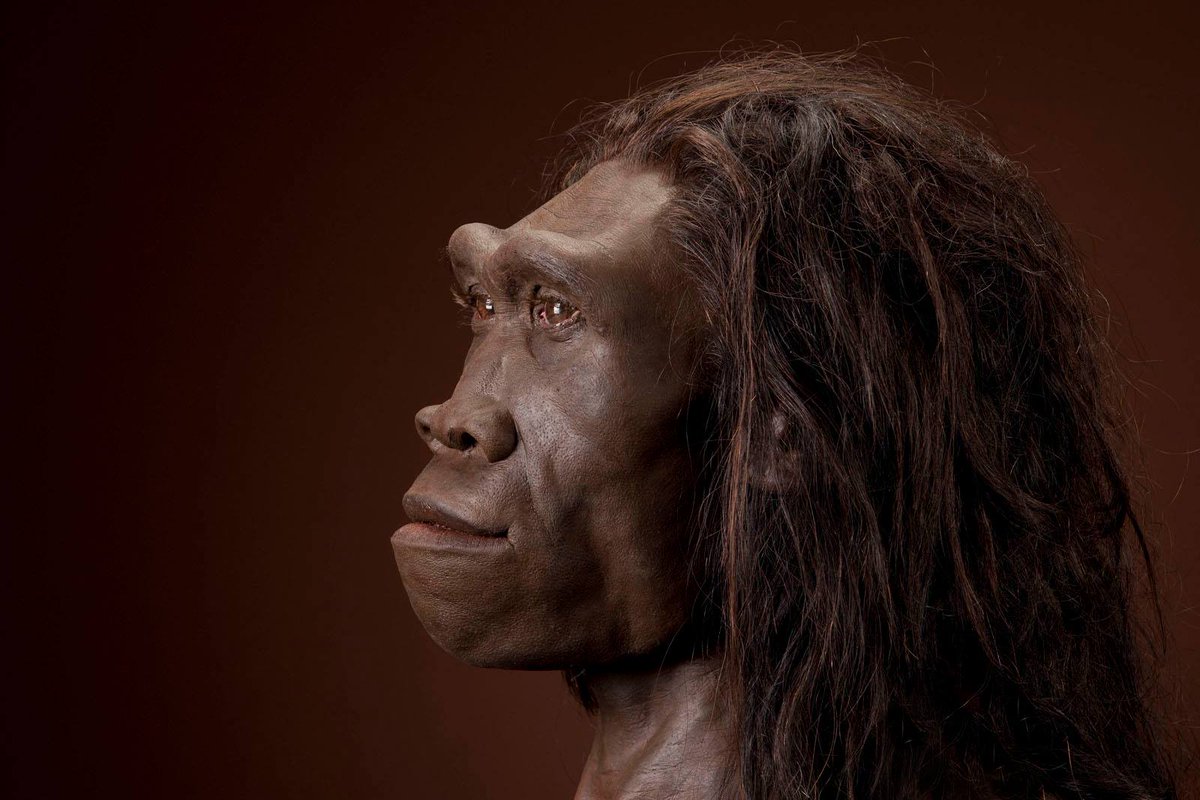 Νέα επιστημονικά ευρήματα υποστηρίζουν ότι ο Homo Sapiens έφτασε νωρίτερα από όσο πιστεύαμε στο δυτικό άκρο της Ευρώπης