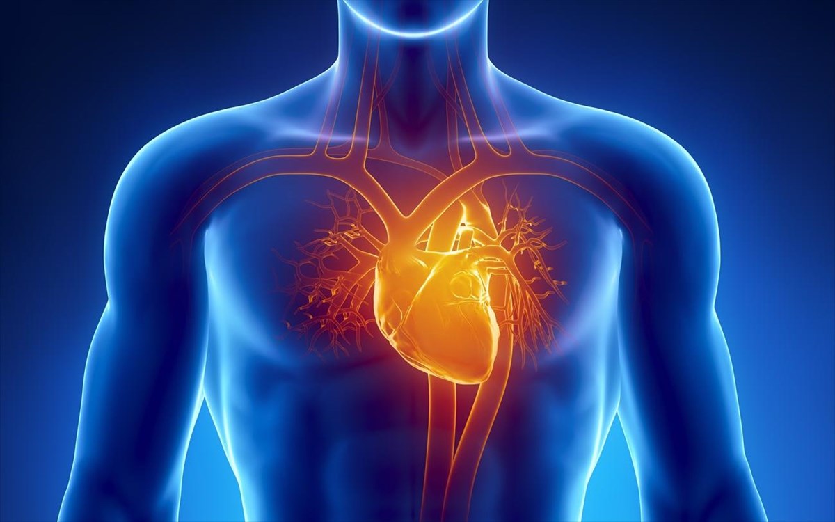Οι 6+1 συμβουλές για να έχετε μια υγιή καρδιά