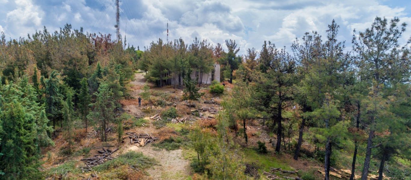 Δασικοί χάρτες: «Σανίδα σωτηρίας» για χιλιάδες ιδιοκτήτες – Πως θα σώσουν την περιουσία τους