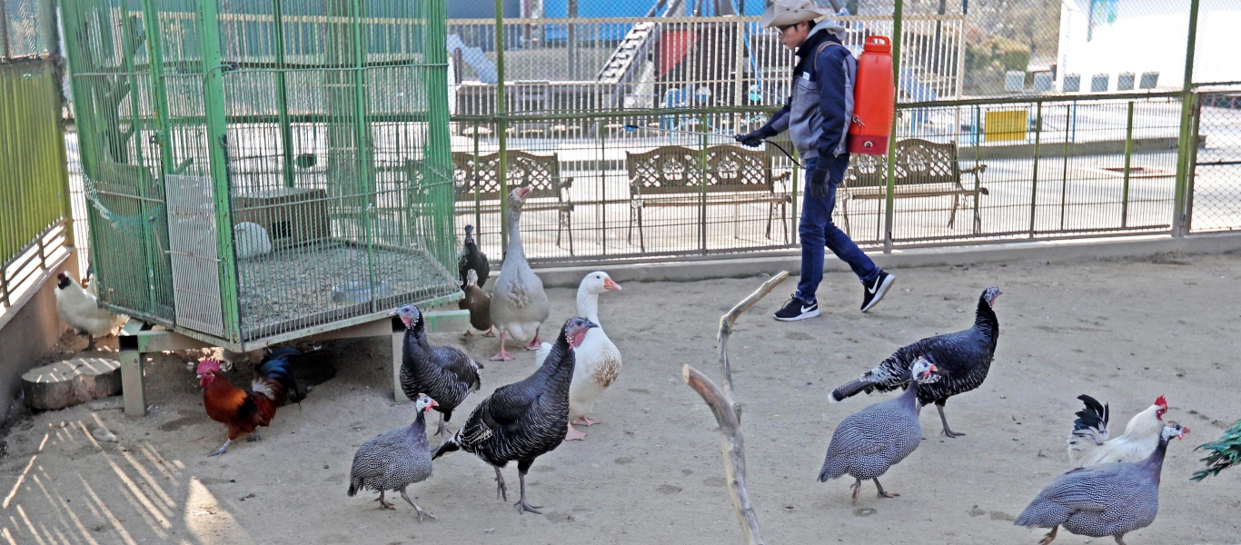 Προειδοποίηση της ΕΕ: Σοβαρό ενδεχόμενο για ξέσπασμα της γρίπης των πτηνών