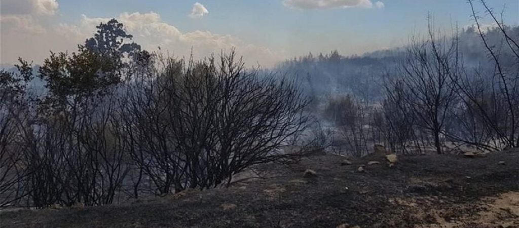 Οι φλόγες καίνε στις παρυφές του προστατευόμενου δάσους της Δαδιάς (upd-βίντεο)