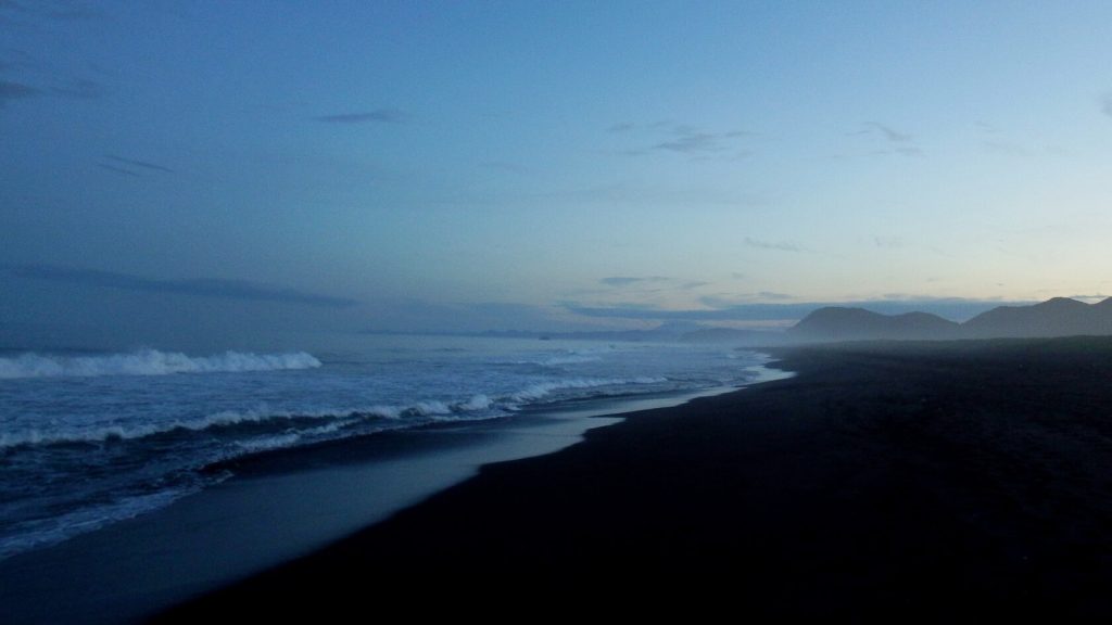 Ρωσία: Εκατοντάδες θαλάσσια ζώα ξεβράστηκαν στις ακτές (βίντεο)