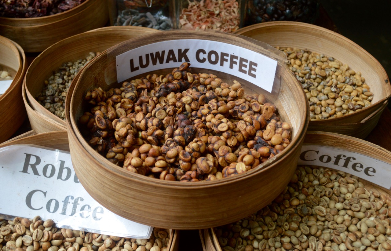 Самый дорогой кофе в мире цена. Сорт кофе копи Лювак. Сорт кофе Лювак. Кофе Индонезия копи Лювак. Лювак Бали.