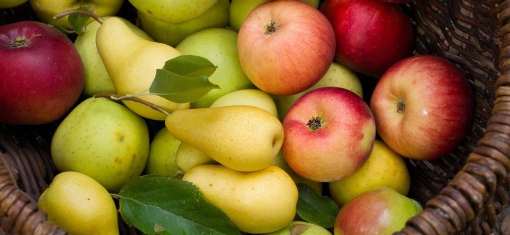 Αυτά είναι τα φρούτα και τα λαχανικά του Οκτωβρίου