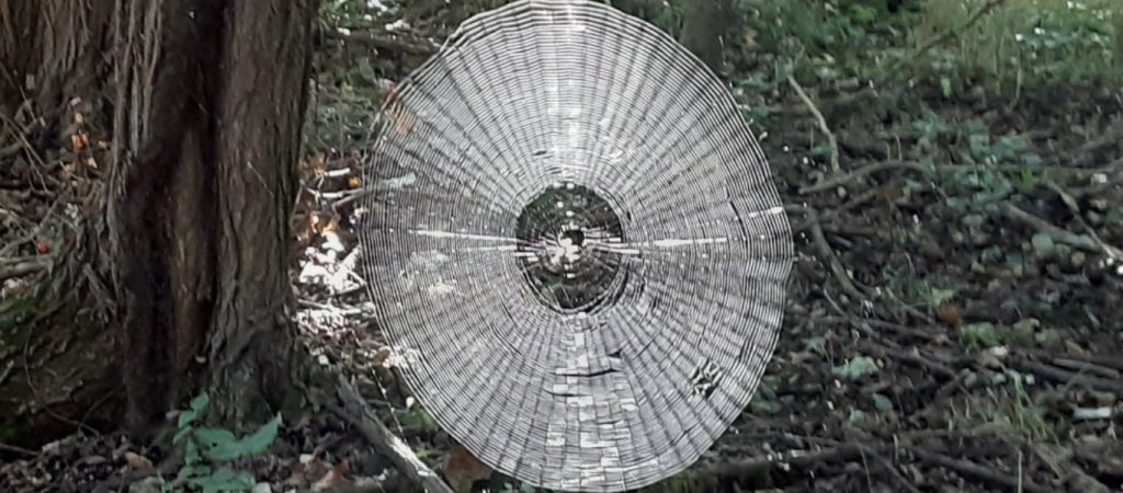 Μιζούρι: Τεράστιος ιστός αράχνης θα μπορούσε να παγιδεύσει ακόμα και άνθρωπο (φώτο)
