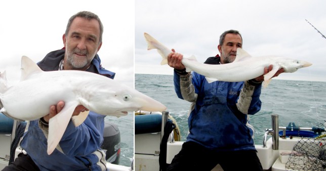 Βρετανία: Ψαράς έπιασε έναν σπάνιο λευκό καρχαρία (φώτο)