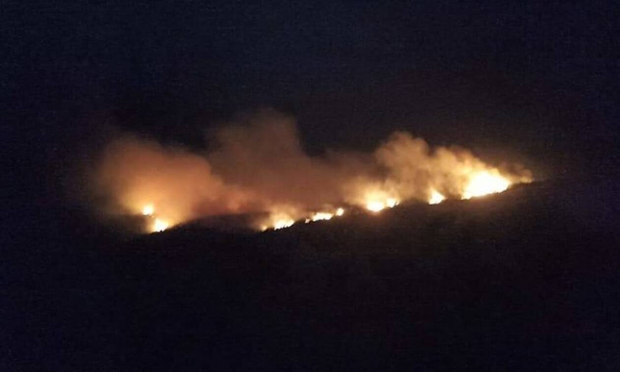 Σε εξέλιξη πυρκαγιά σε δασική έκταση στην περιοχή Χρυσοκελλαριά στην Μεσσηνία