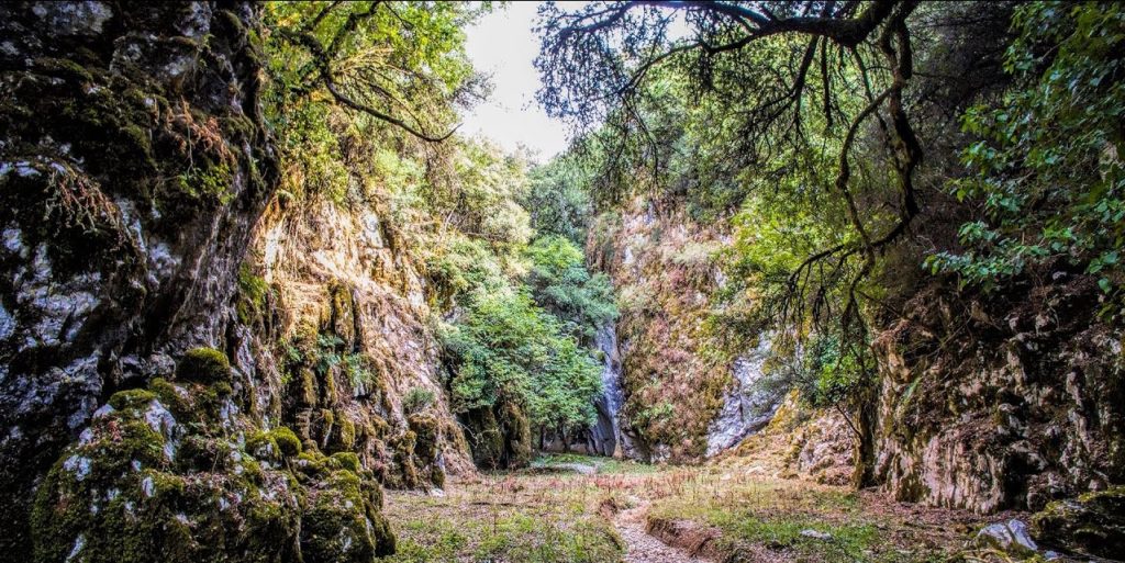 Κοιλάδα Αχελώου: Moναδική αναρριχητική διαδρομή στο φαράγγι Μπουζουνίκου (βίντεο)