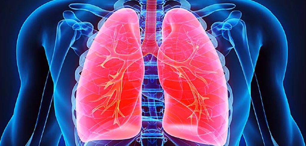 Αυτές είναι οι πέντε τροφές που ενισχύουν τους πνεύμονες