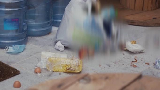 «Πάρτι» έκαναν τα μυρμήγκια στο σπίτι του GNTM – Ακαταστασία, βρωμιά και ειρωνείες από ορισμένους